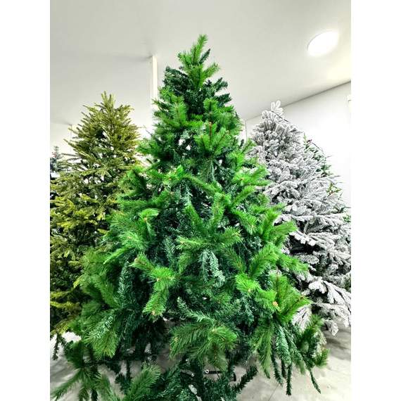 ნაძვის ხე Dz2317  240 სმ