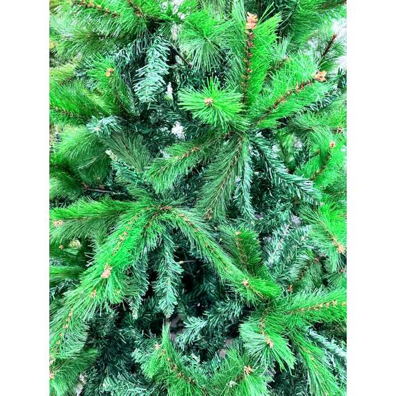 ნაძვის ხე Dz2317  210 სმ, 2 image