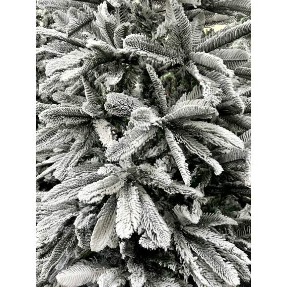 ნაძვის ხე Dz2325 დათოვლილი 240 სმ, 2 image