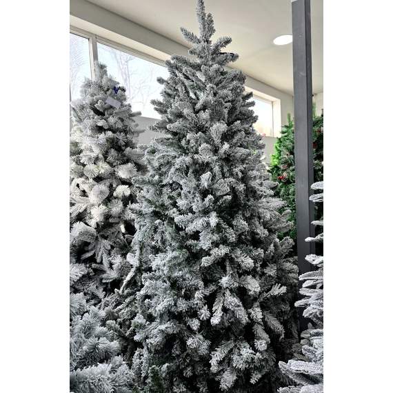 ნაძვის ხე Dz2327 დათოვლილი 240 სმ