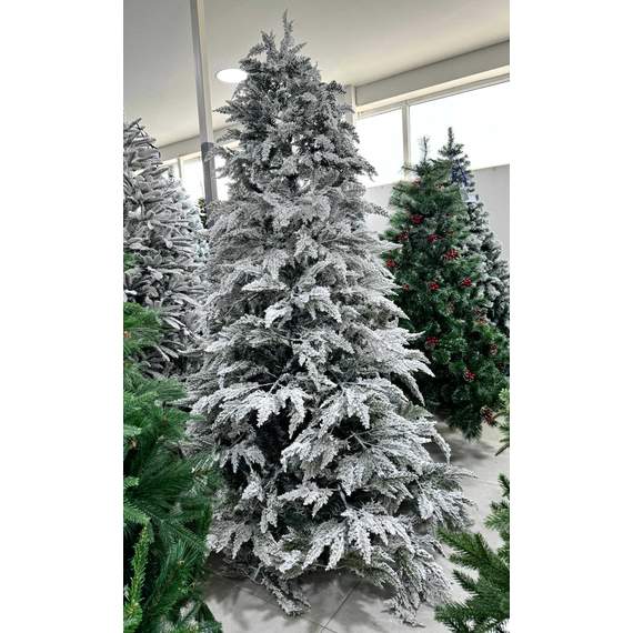 ნაძვის ხე Dz2329 დათოვლილი 270 სმ