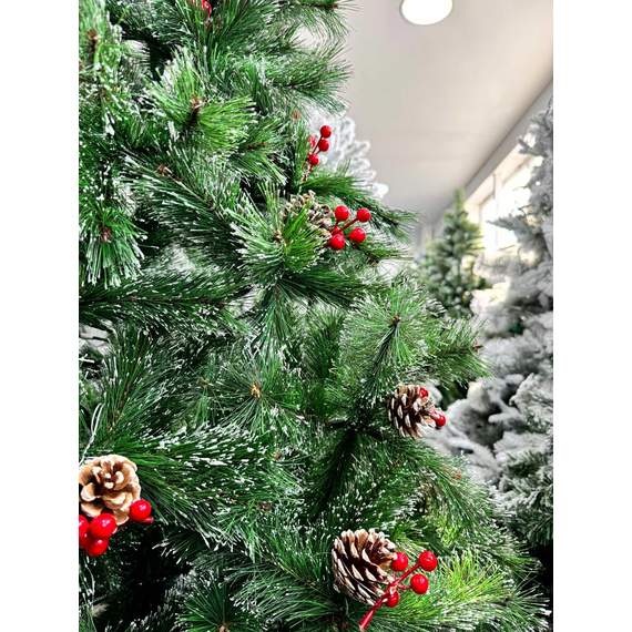 ნაძვის ხე Dz2330 გირჩებით 240 სმ, 3 image