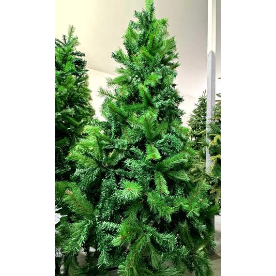 ნაძვის ხე Dz2332  210 სმ