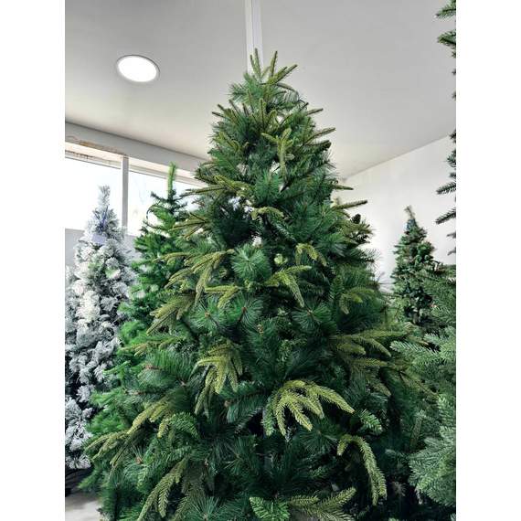 ნაძვის ხე Dz2333  270 სმ