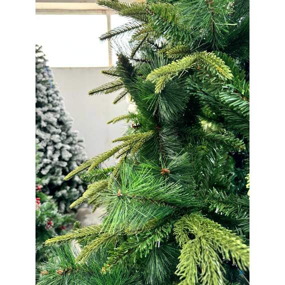 ნაძვის ხე Dz2333  270 სმ, 3 image