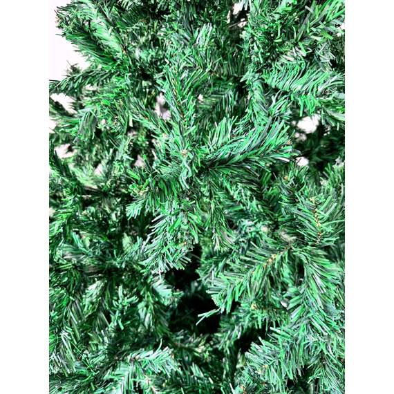 ნაძვის ხე Dz2336  240 სმ, 2 image