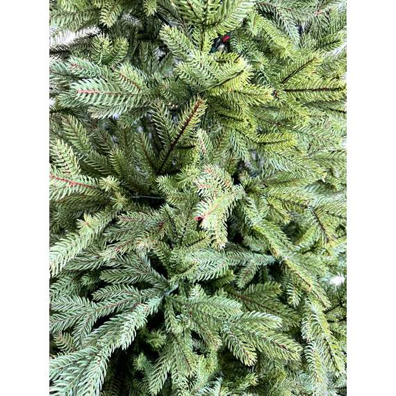 ნაძვის ხე Dz2337  240 სმ, 2 image