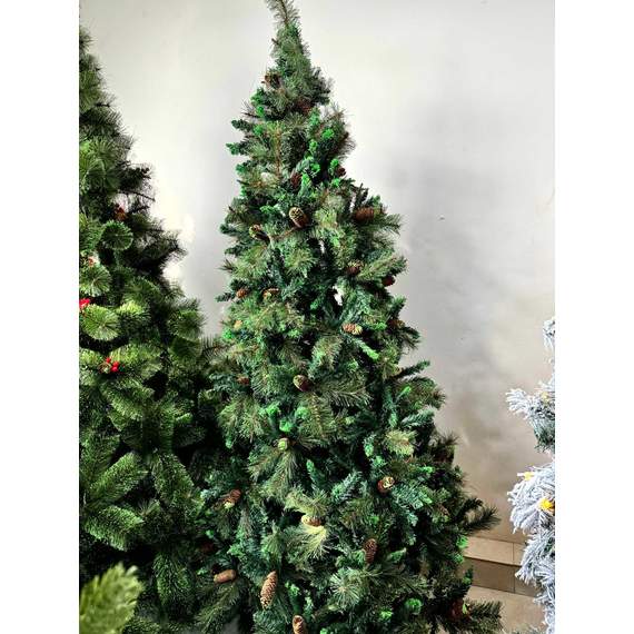 ნაძვის ხე Dz2339 გირჩებით 210 სმ