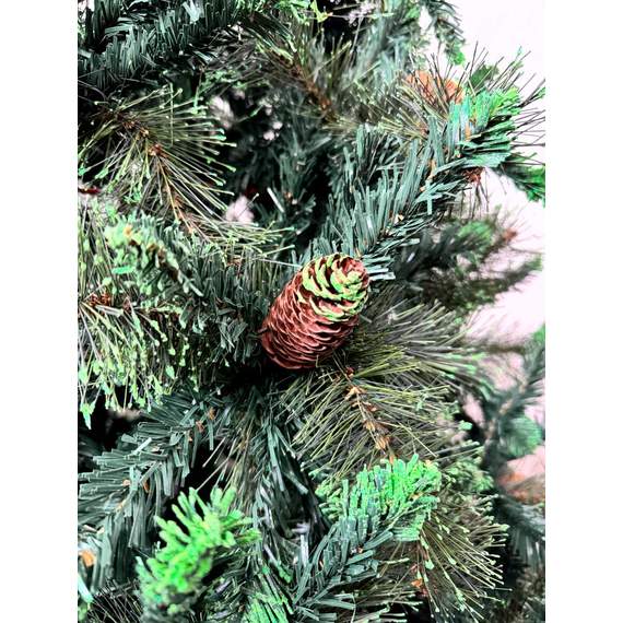 ნაძვის ხე Dz2339 გირჩებით 210 სმ, 2 image