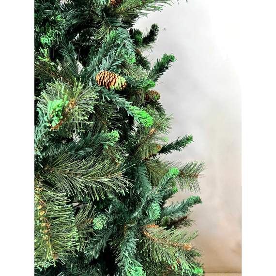 ნაძვის ხე Dz2339 გირჩებით 210 სმ, 3 image