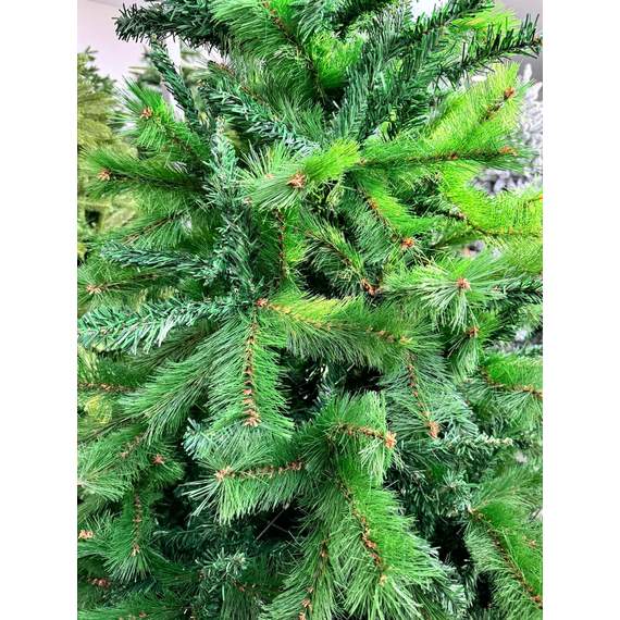 ნაძვის ხე Dz2341  180 სმ, 2 image