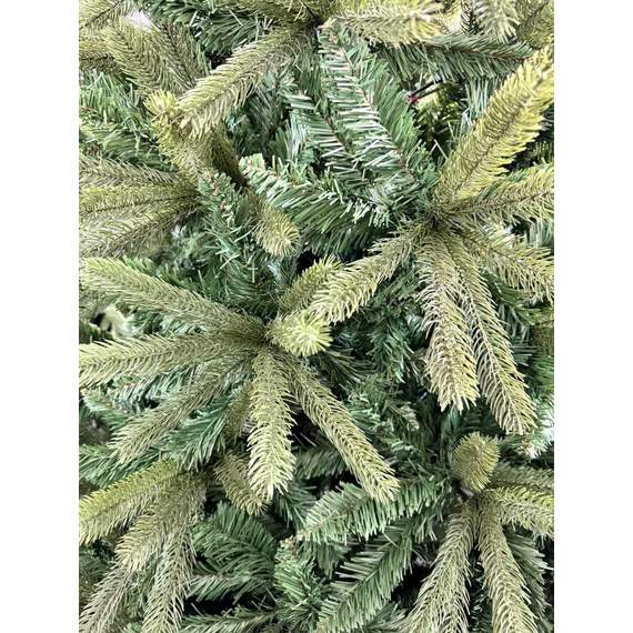 ნაძვის ხე Dz2342  240 სმ, 2 image