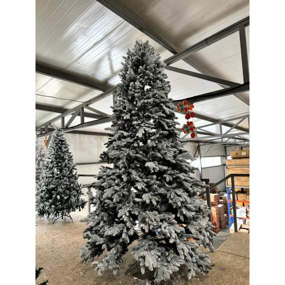 ნაძვის ხე Dz2346 დათოვლილი 270 სმ