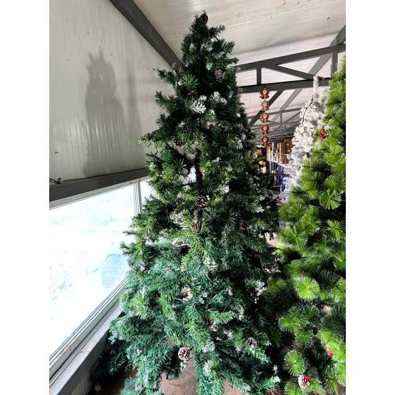 ნაძვის ხე Dz2350 გირჩებით 210 სმ