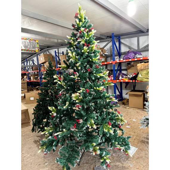 ნაძვის ხე Dz2351 გირჩებით 240 სმ