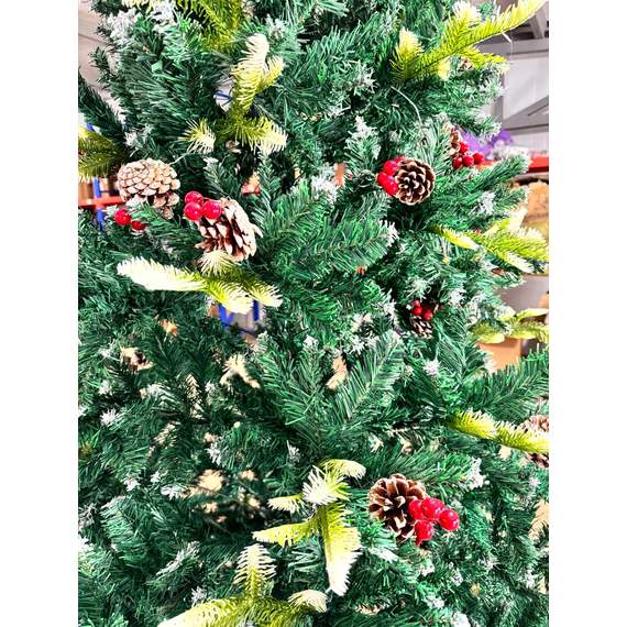 ნაძვის ხე Dz2351 გირჩებით 240 სმ, 2 image