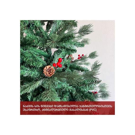 ნაძვის ხე (Xc-210) ალაბამა 210 სმ, 5 image