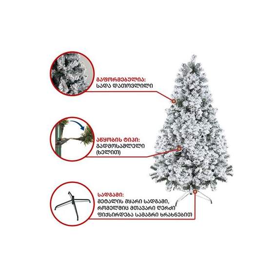 ნაძვის ხე (Zx-180) ბავარია 180 სმ, 6 image