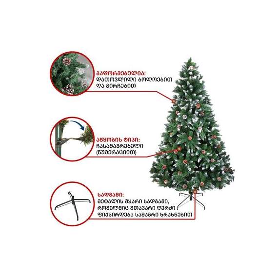 ნაძვის ხე (BN-210) კონიფერი 210 სმ, 4 image