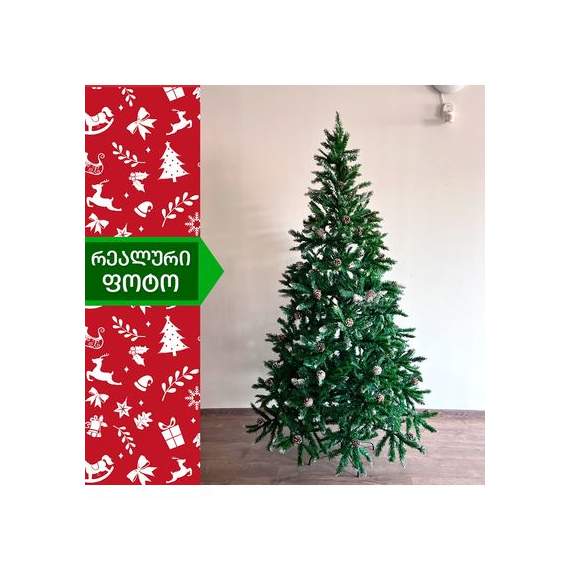 ნაძვის ხე (BN-240) კონიფერი 240 სმ, 3 image