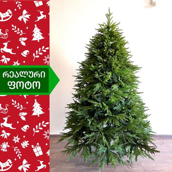 ნაძვის ხე ჰიმალაი 210სმ (II-210)