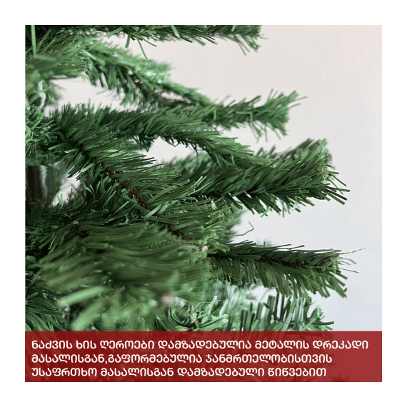 ნაძვის ხე ვაშინგტონი 180სმ (LL-180), 4 image