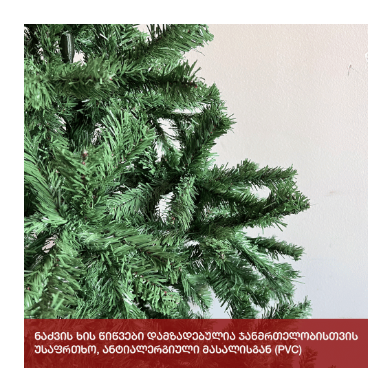 ნაძვის ხე ვაშინგტონი 180სმ (LL-180), 5 image