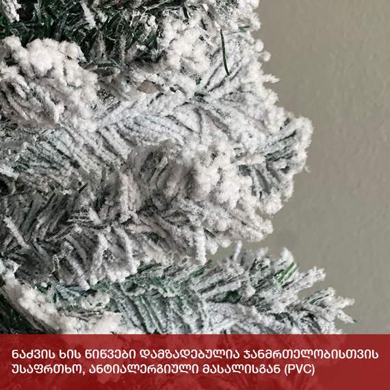 ნაძვის ხე პარიზი 210სმ (FF-210), 4 image