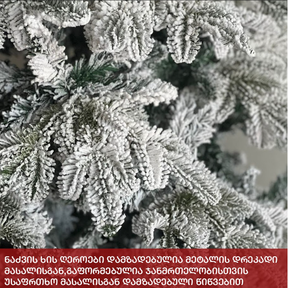 ნაძვის ხე სტოკჰოლმი 270სმ (KK-270), 4 image