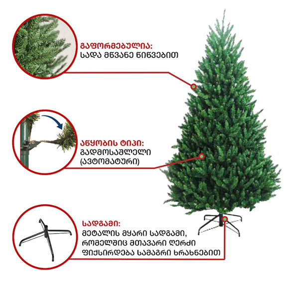 ნაძვის ხე ედინბურგი 210სმ (MM-210), 3 image