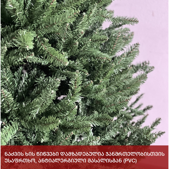 ნაძვის ხე ედინბურგი 180სმ (MM-180), 5 image